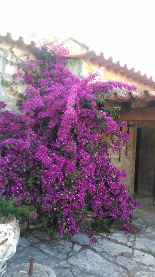 Casa De Chanca Penela Zewnętrze zdjęcie